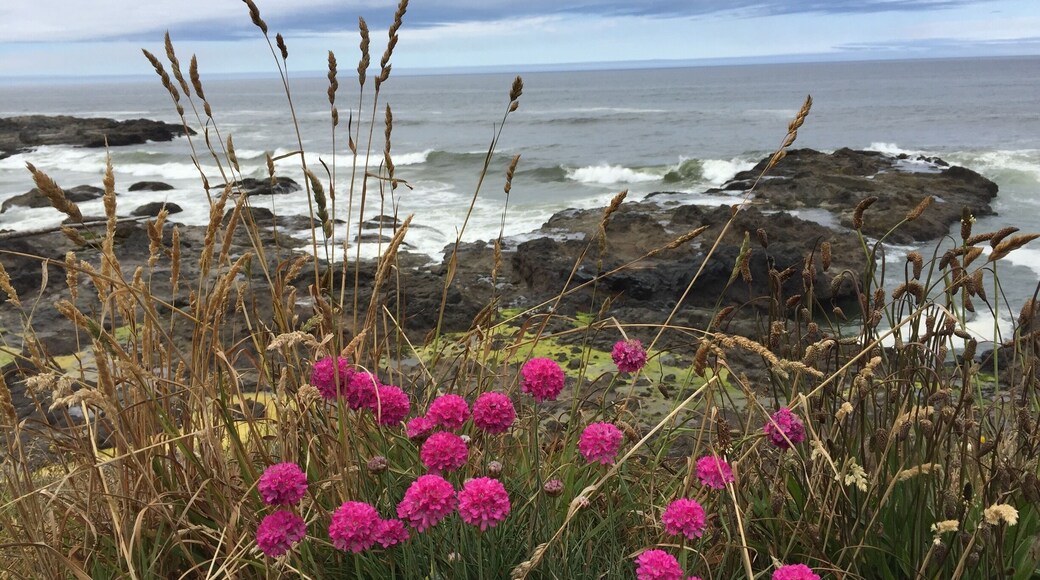 Yachats OR - great place to chill!