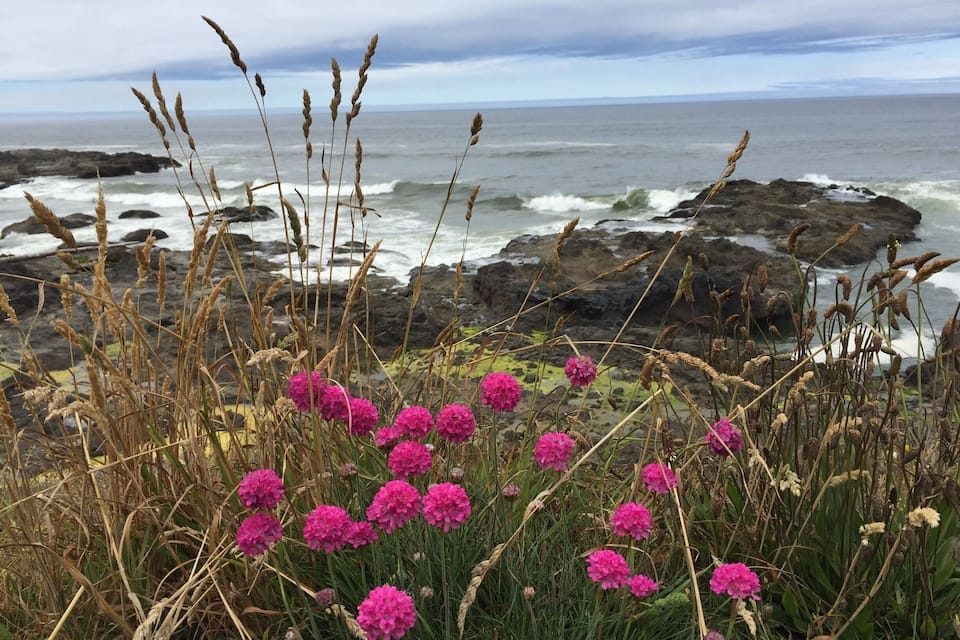Una costa rocosa con flores rosadas y olas rompiendo contra las rocas.