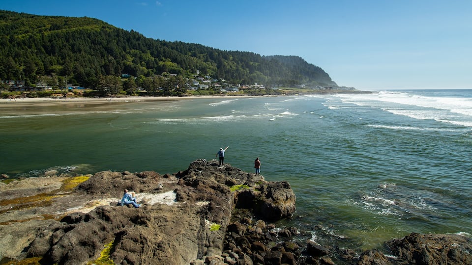 A coastal landscape with rocky outcrops, a sandy beach, and a forested hillside.