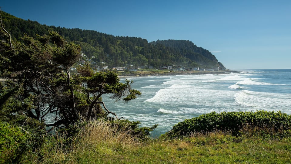 A coastal landscape with a forested hillside, ocean waves, and a clear sky.