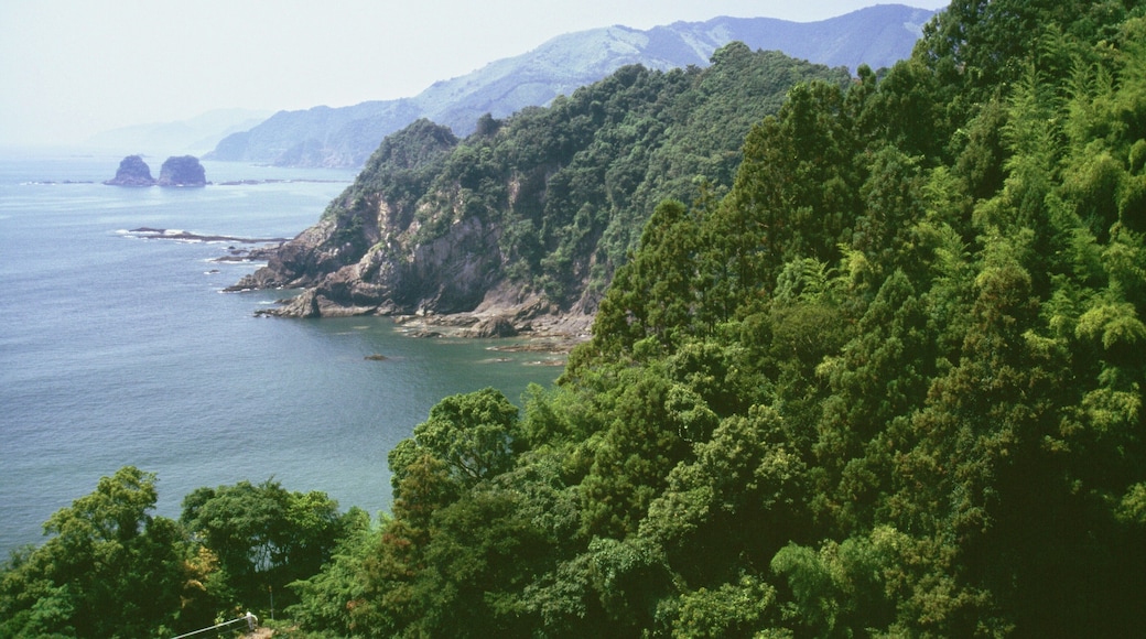 High angle view of a coastline, Kochi, Shikoku, Japan