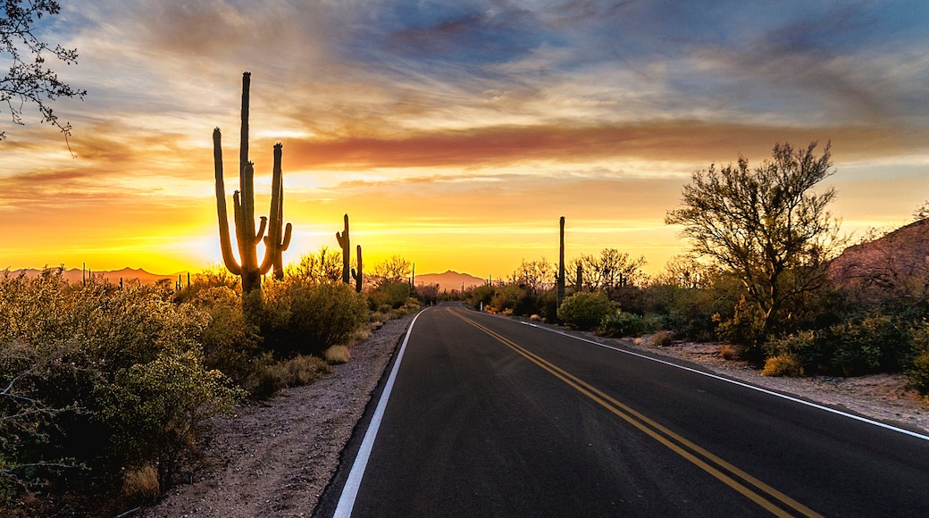 Arizona Desert Sunset Road