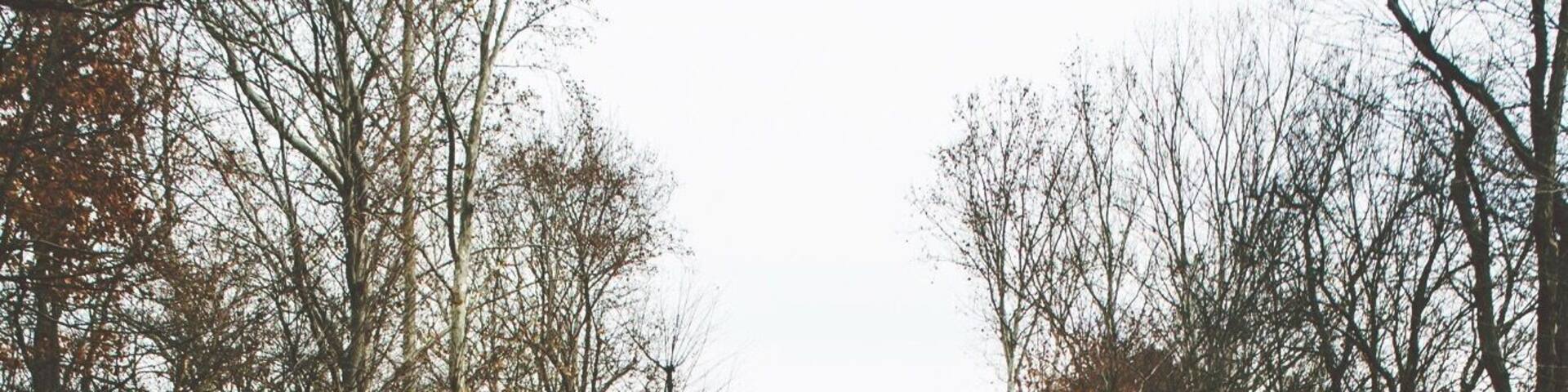 The road most traveled.