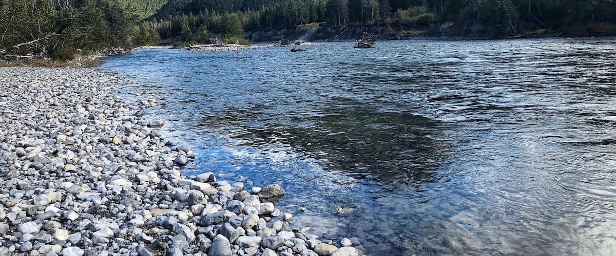 The Bow River in Exshaw, Alberta. South Exshaw trail nearby - 2 km (moderate). (September 2018)