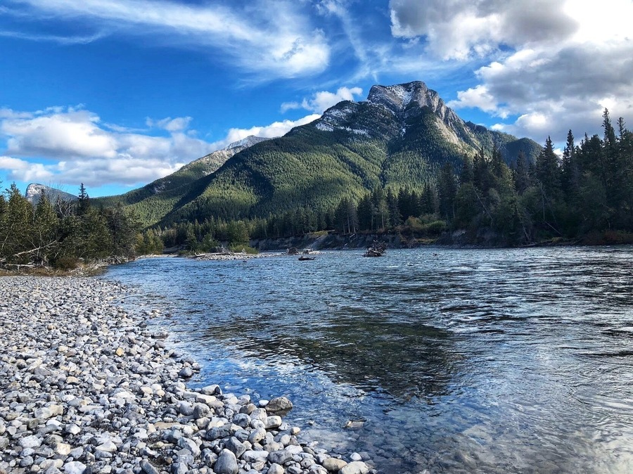 The Bow River in Exshaw, Alberta. South Exshaw trail nearby - 2 km (moderate). (September 2018)