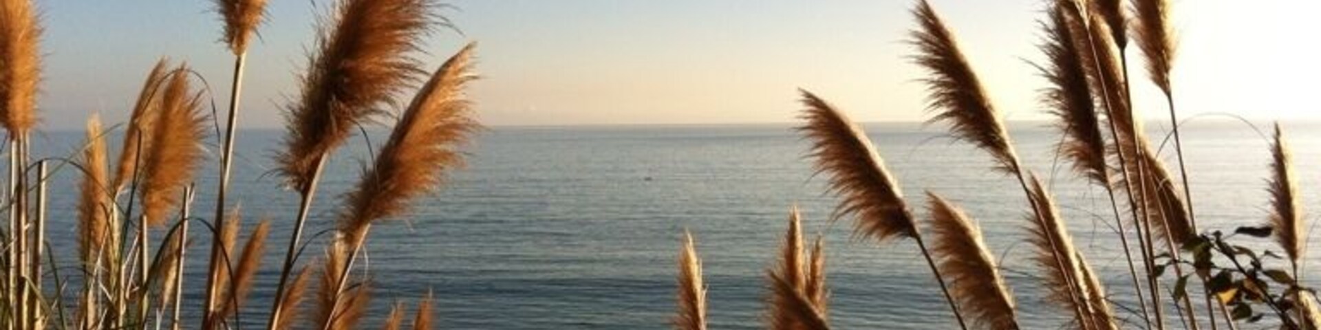 New Brighton Beach State Park - cliffside campsites above the beach.  Gorgeous day & typical mild weather for this time of year.  #rallyvogey #orangeoctober #gogiants #rallyenchiladas