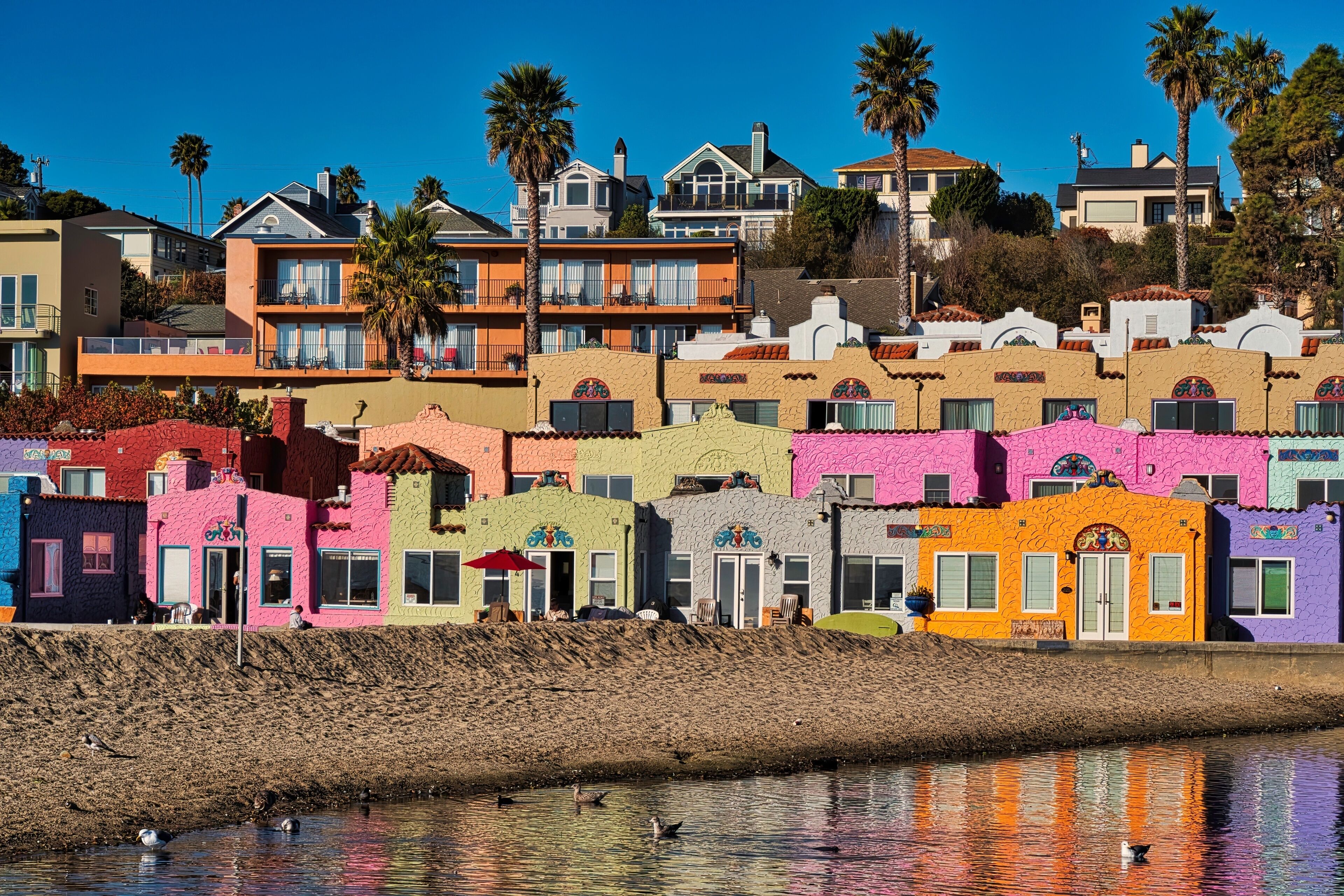 Santa Cruz County