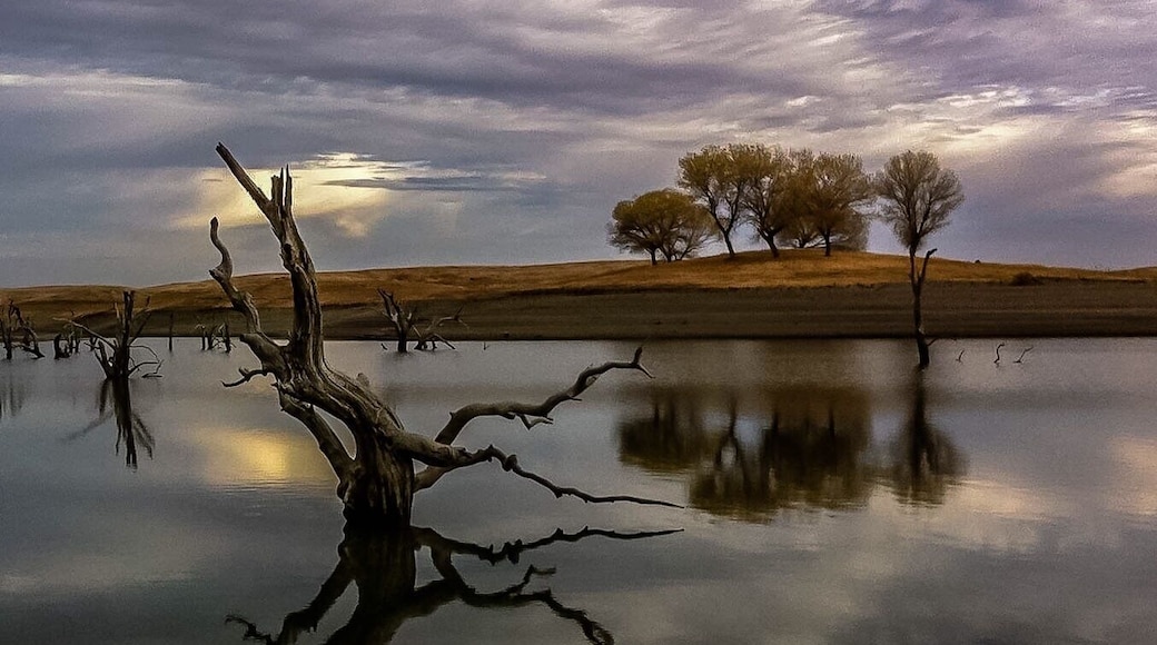 I took this photo about 4 years ago at Black Butte Lake in northern CA. The water was very low that year.
#Reflections