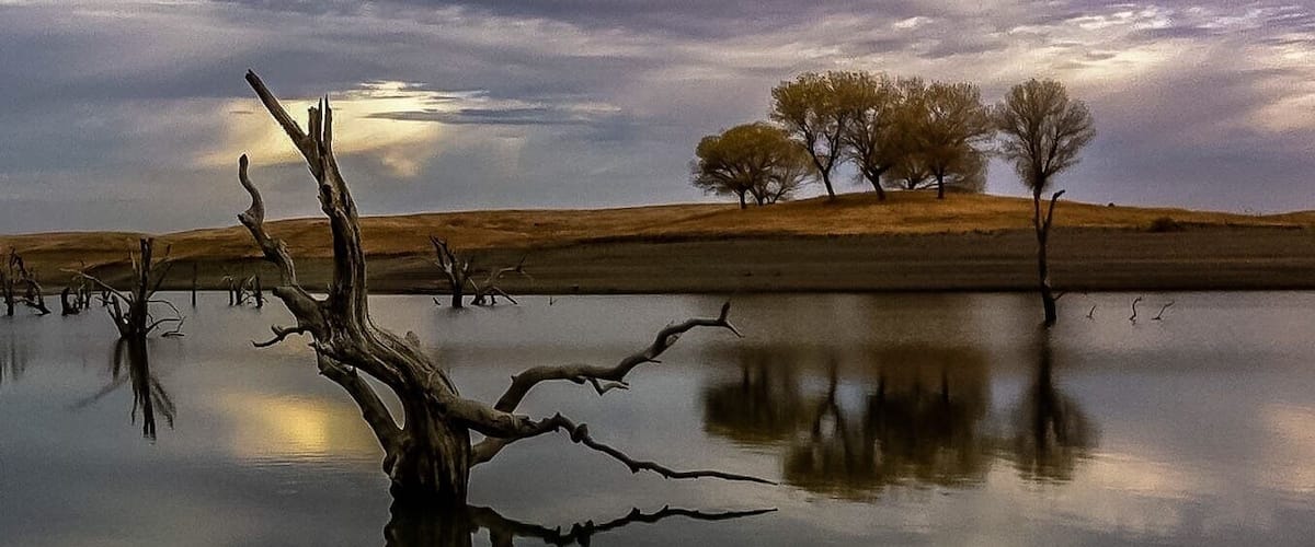 A still body of water with a dead tree in the foreground and a few trees on the distant bank.