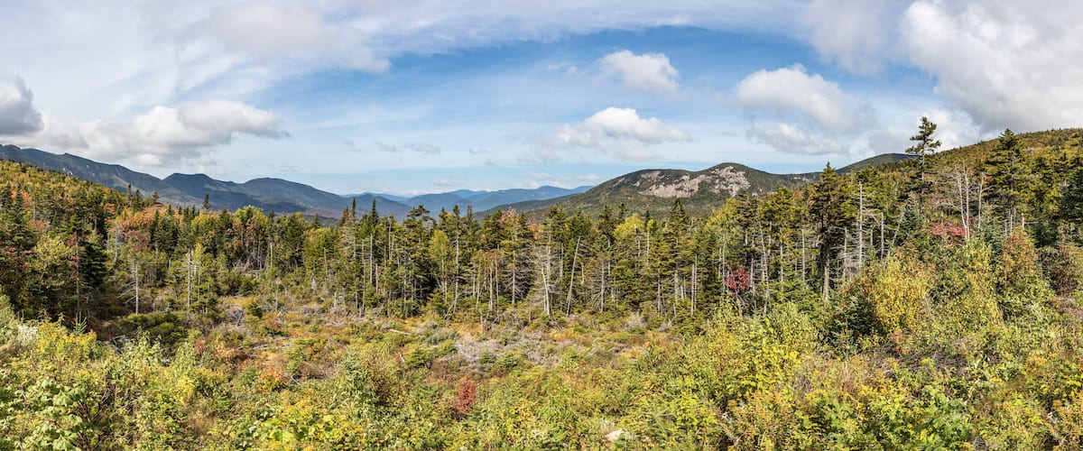 A forested mountain landscape with a clear sky.