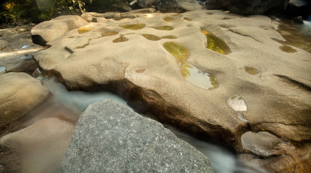 Potholes in granite bedrock of Diana's Baths, Bartlett, New Hampshire.