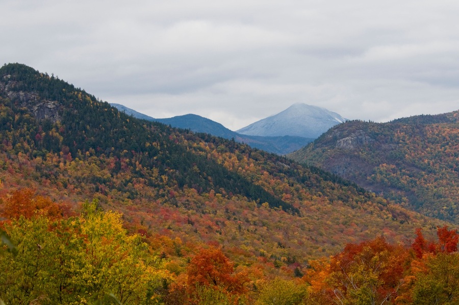 BKCE6Y Fall Foliage, Autumn Fall,Colors,Colour,Colours,Bear Notch Road,Bartlett, White Mountain National Forest, New Hampshire,USA