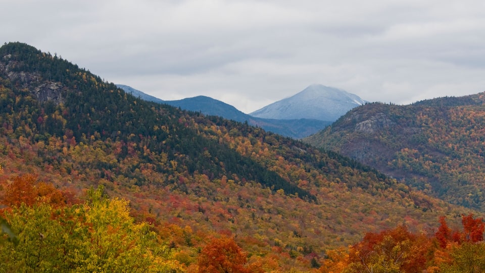 A mountainous landscape with autumn foliage.
