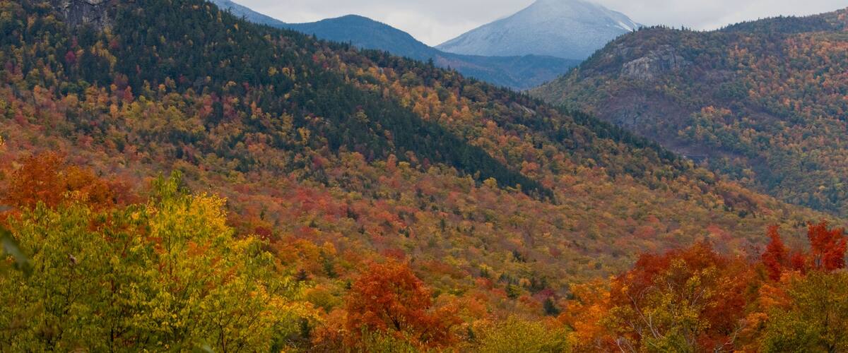 BKCE6Y Fall Foliage, Autumn Fall,Colors,Colour,Colours,Bear Notch Road,Bartlett, White Mountain National Forest, New Hampshire,USA