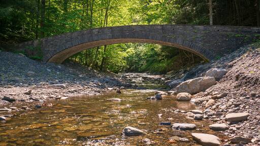 ๋ชจ๋ผ๋น์