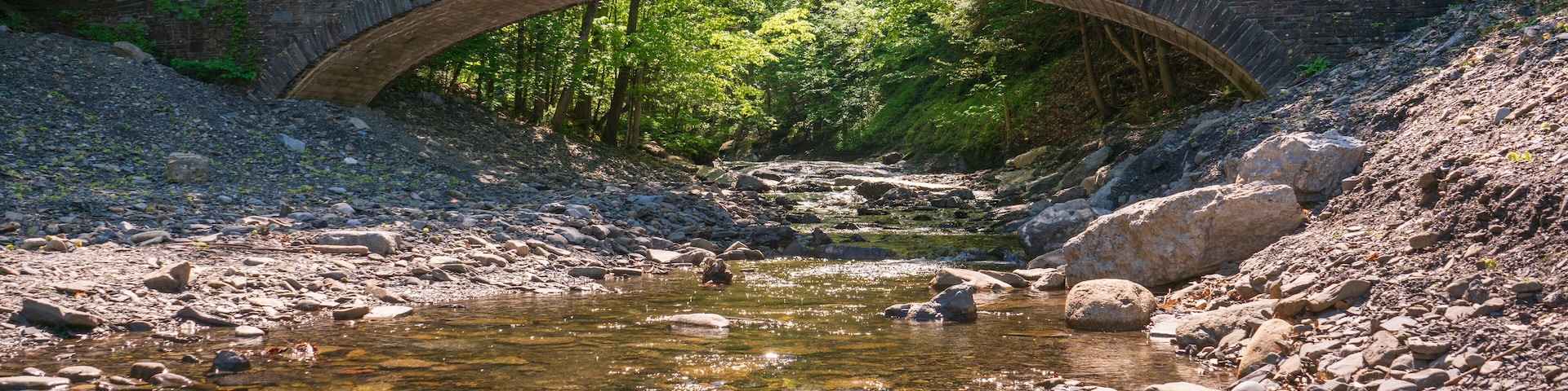 Fillmore Glen State Park