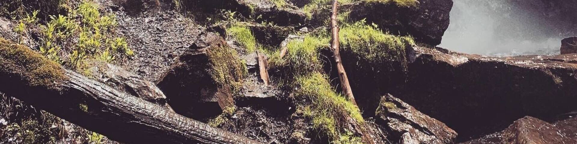 short hike to get to this waterfall but kinda steep and slippery, found a nice hiking stick to help me out