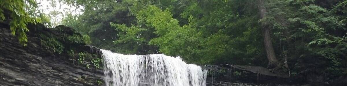 Ein Wasserfall stürzt über eine felsige Klippe, umgeben von üppigem Grün.