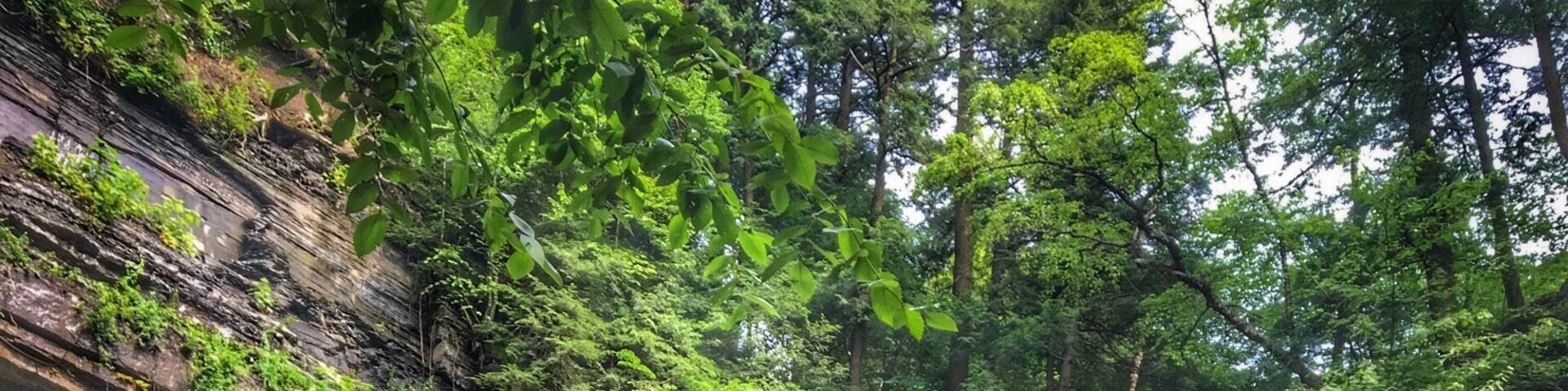 Short walk from the start of the gorge trail. Great little park hidden in a little town along one of NY finger lakes.