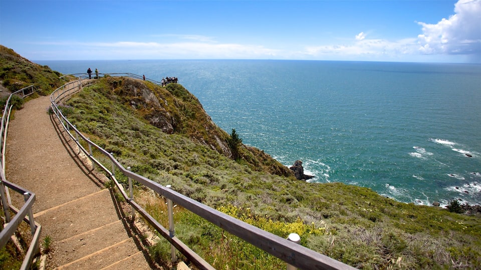 A coastal hiking trail with a railing, overlooking the ocean.