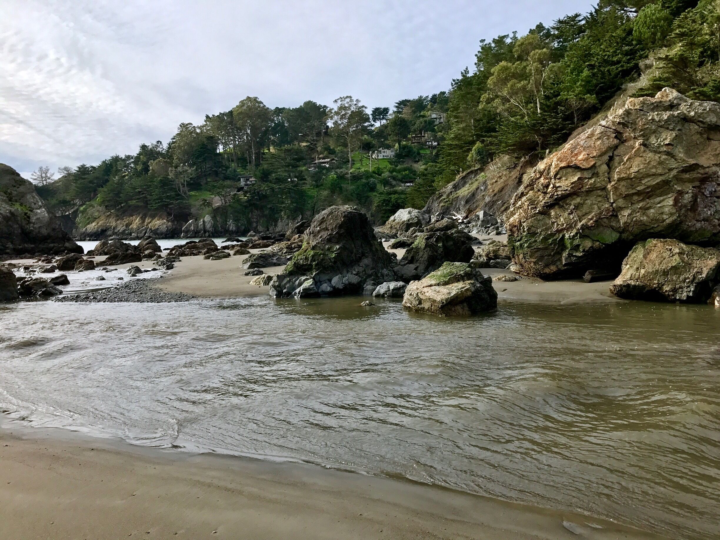 Muir Beach coastal stream meets the ocean