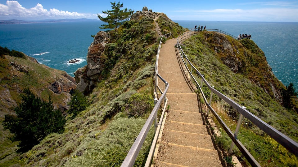 A coastal hiking trail with a metal railing, surrounded by greenery and overlooking the sea.