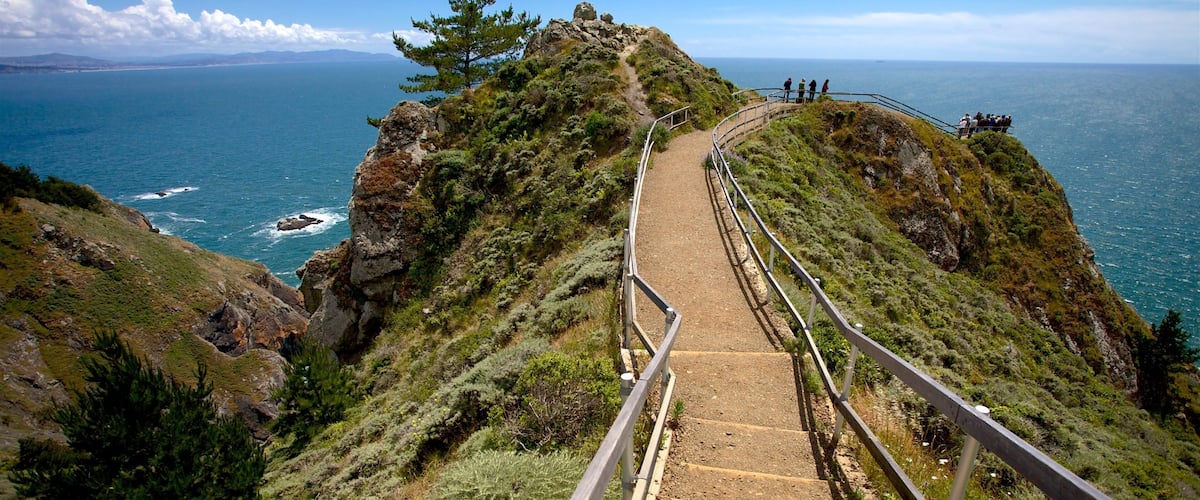 A coastal hiking trail with a metal railing, surrounded by greenery and overlooking the sea.