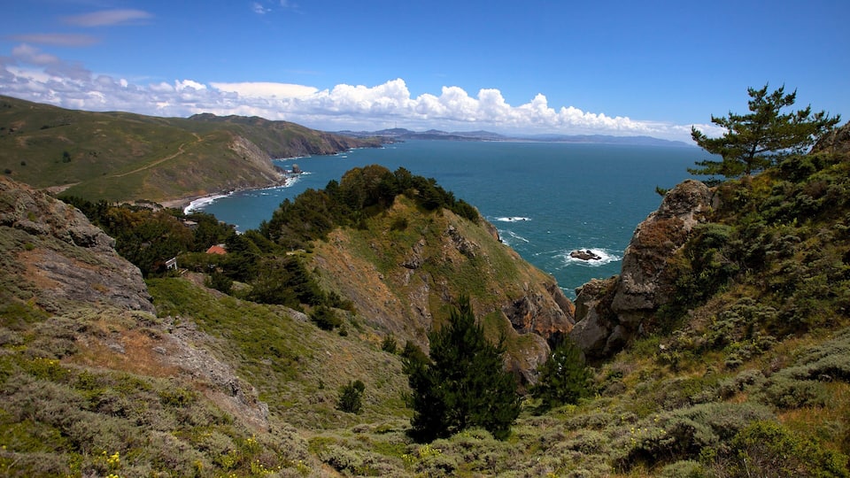 A coastal landscape with a rugged coastline, green hills, and a clear blue sky.