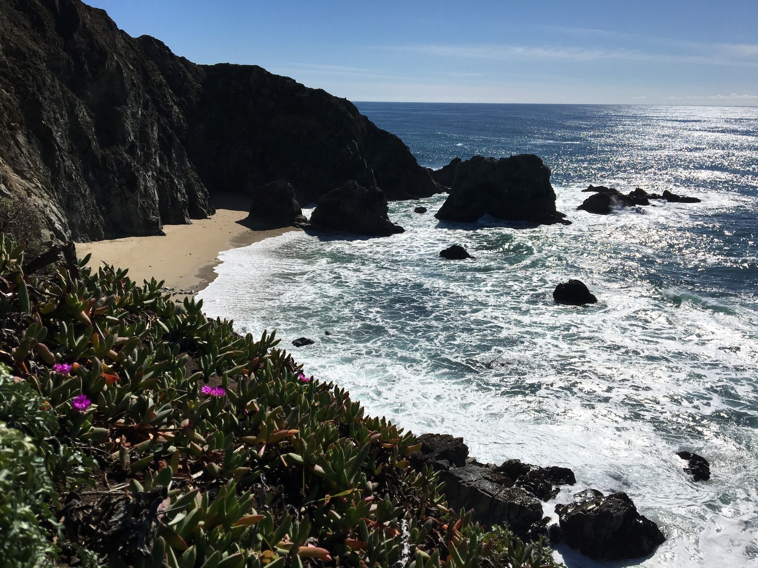 A rocky coastline with waves crashing against large boulders, a sandy beach, and green vegetation with purple flowers.