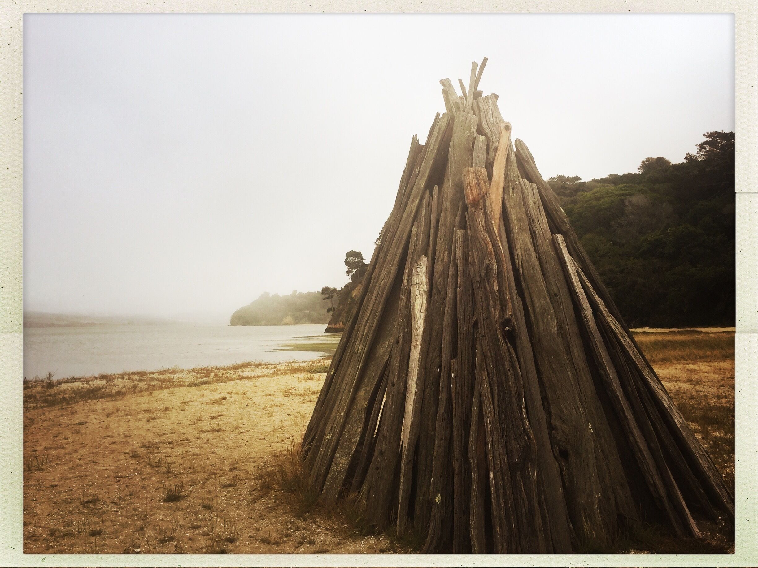 Keep your eyes open and cameras ready for bears drinking in the water 