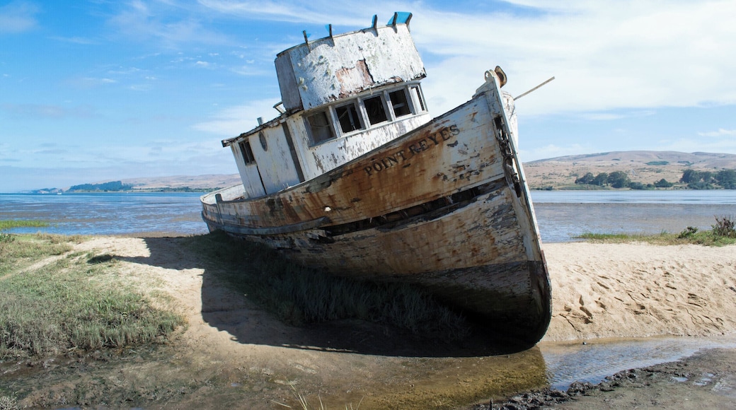 SS Point Reyes in the town of Inverness, across the street from the Post Office. Stay on the trail! #blue