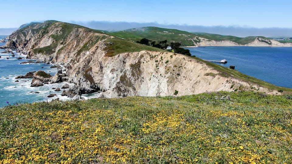 A coastal landscape with cliffs, a body of water, and yellow flowers in the foreground.