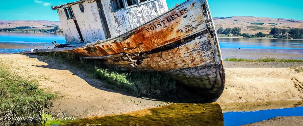 Point Reyes Boat
This abandoned boat was left in place thanks to its rotting beauty.
Known as the Tomales Bay Shipwreck, the Inverness Shipwreck, or the S.S. Point Reyes, the tall fishing boat was once in danger of being removed, but it was local photographers who actually saved it. The vessel was originally dragged aground by the land’s previous owner who had intended to fix the ship up. However, like many fixer-upper projects, he never actually got around to the repairs, leaving the boat, which still bears the name, “Point Reyes,” to decay on the shore.
#PointReyes #Inverness #TomalasBay #PointReyesNationalSeashore #MarinCounty #California #Shipwreck #FishingBoat #wreck #TomalasPointTrail #BayArea #CaliforniaDreaming #PtReyes #OnlyInCalifornia #NorthernCalifornia #PacificCoastHighway #CaliforniaPics #CAPics #ExploreCalifornia #ExploreCA #PicOftheday #PhotoOfTheDay #JustGoShoot #Discover_CA #Roadside_America