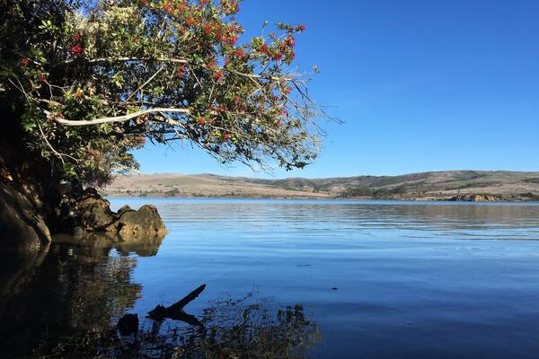 Unusually calm day at beautiful Tomales Bay State Park, Inverness CA.
Nestled in the protected Point Reyes National Seashore and Tomales Bay Area. Lots of hiking, fishing, boating and nature watching.
#HikingTheGlobe
#CAStateParks
#BeachBound
