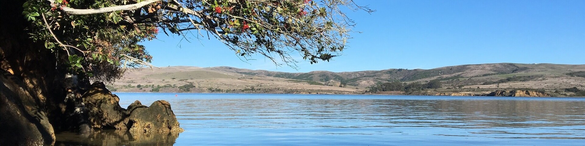 Unusually calm day at beautiful Tomales Bay State Park, Inverness CA.
Nestled in the protected Point Reyes National Seashore and Tomales Bay Area. Lots of hiking, fishing, boating and nature watching.
#HikingTheGlobe
#CAStateParks
#BeachBound