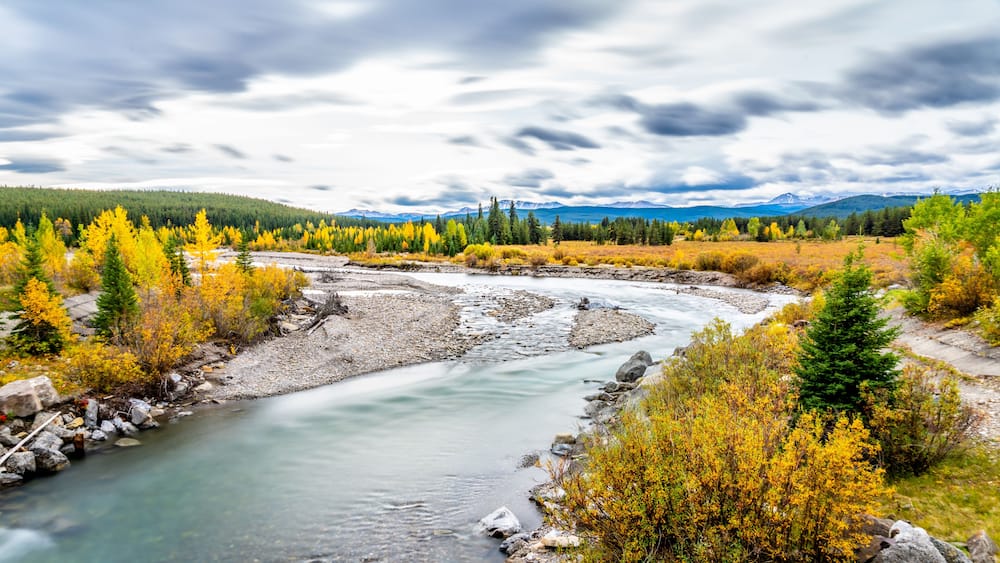 A river flowing through a forest with autumn-colored trees and mountains in the background.