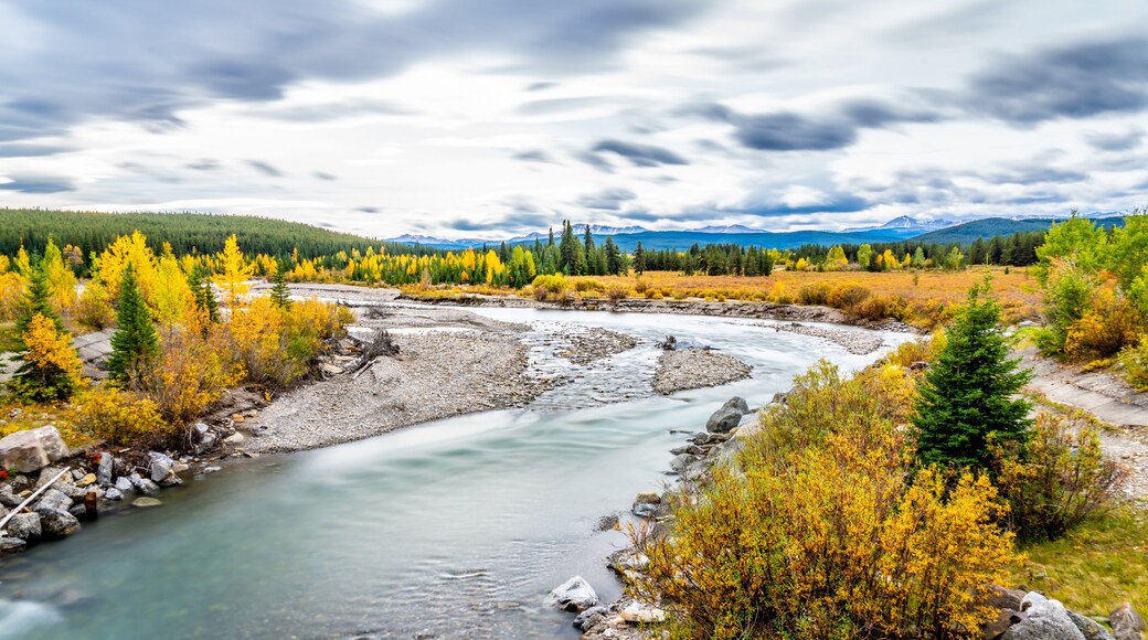 Fall Colors at the Smokey River near Grand Cache Alberta, Canada