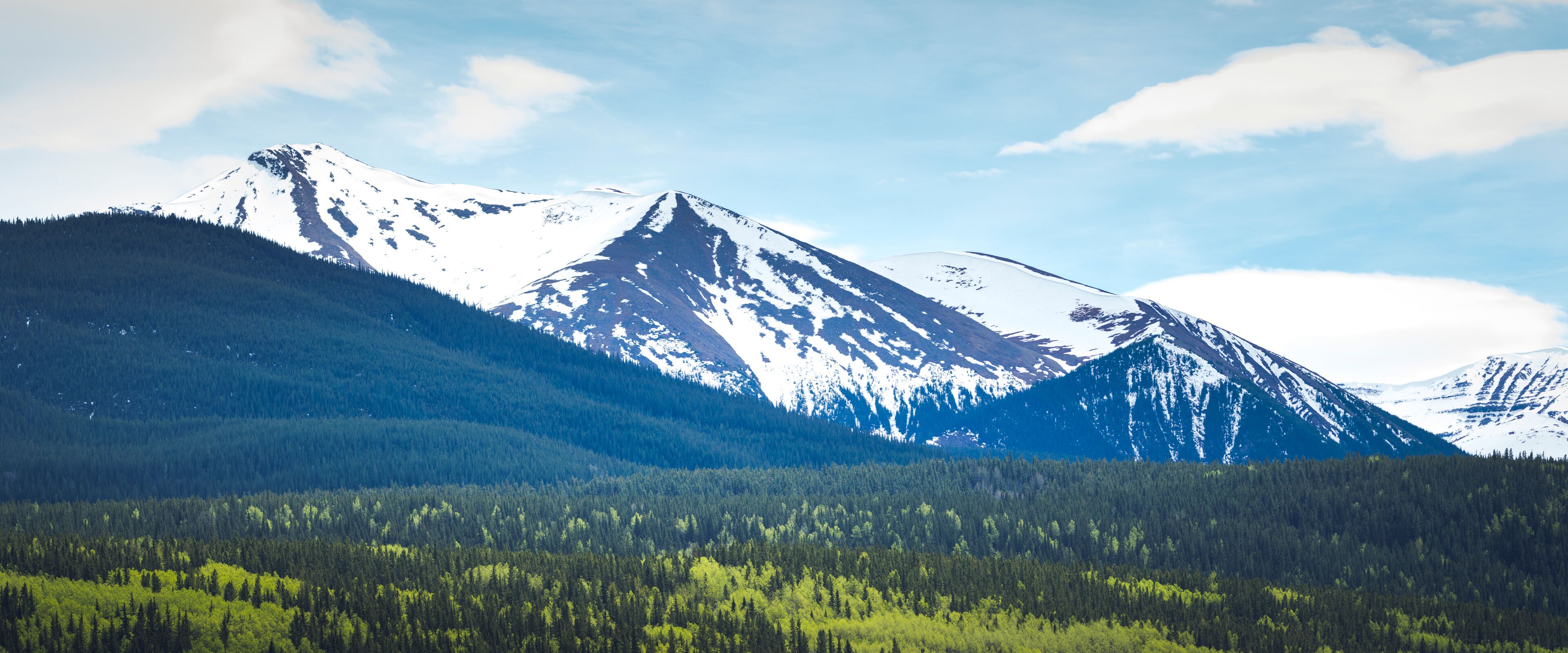 A snow-capped mountain range with dense forests at its base.
