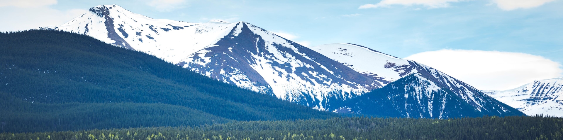 A snow-capped mountain range with dense forests at its base.