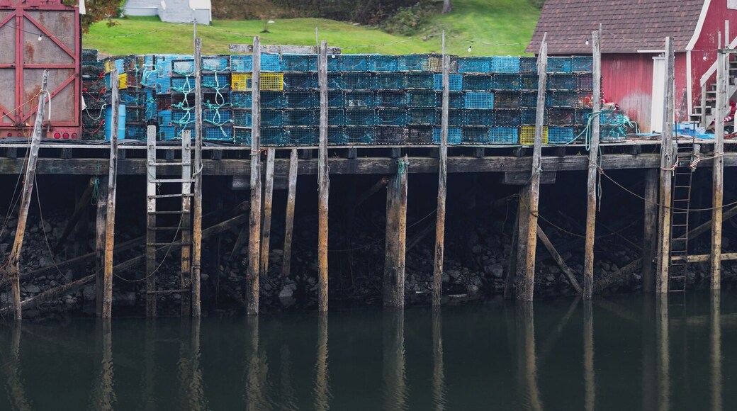 There were less coves than I was expecting. The coves we did come across though reminded me of paintings I've seen of old pier pilings and dark coast lines. The extreme tidal changes created some really beautiful colors on the wood and the lobster traps that were strewn around everywhere just added to the visualization.