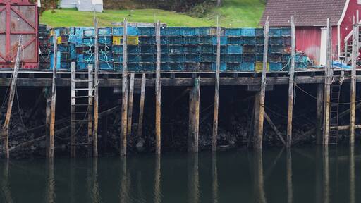 There were less coves than I was expecting. The coves we did come across though reminded me of paintings I've seen of old pier pilings and dark coast lines. The extreme tidal changes created some really beautiful colors on the wood and the lobster traps that were strewn around everywhere just added to the visualization.