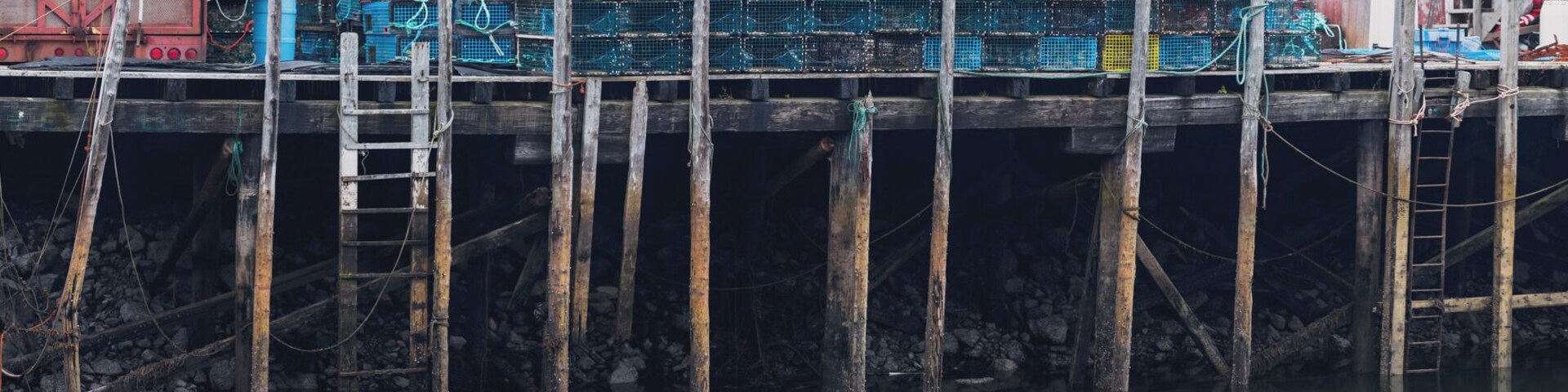 There were less coves than I was expecting. The coves we did come across though reminded me of paintings I've seen of old pier pilings and dark coast lines. The extreme tidal changes created some really beautiful colors on the wood and the lobster traps that were strewn around everywhere just added to the visualization.