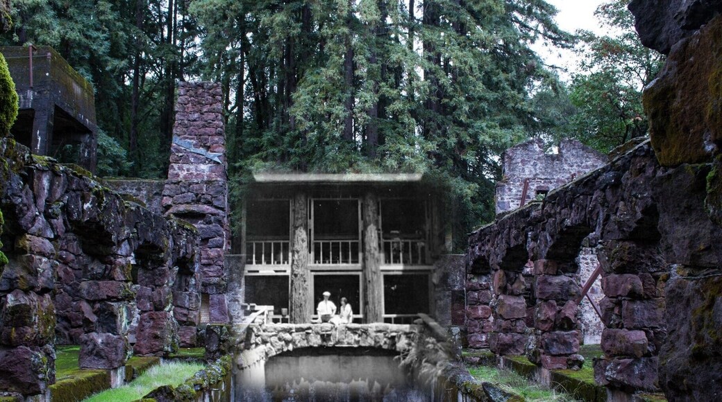 Wolf House at Jack London State Park. I blended my picture with a picture I found. Worth the slight hike.