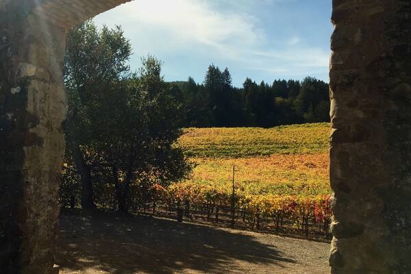 A view of wine grape fall colors through the House Of Happy Walls at Jack London State Historic Park in Glen Ellen, California. The grounds of this park are the permanent home of the US author Jack London (White Fang, Call of the Wild, and others). In addition to writing books, Jack London and his wife Charmain operated this ranch and orchard. It was important to them to hire local people and use biodynamic and sustainable farming practices. There’s a lot to see and learn about here as well as lots of hiking trails. In addition, it’s located in Sonoma wine country.
#InStone #Hiking #OptOutside #GreatOutdoors #California #SonomaWine