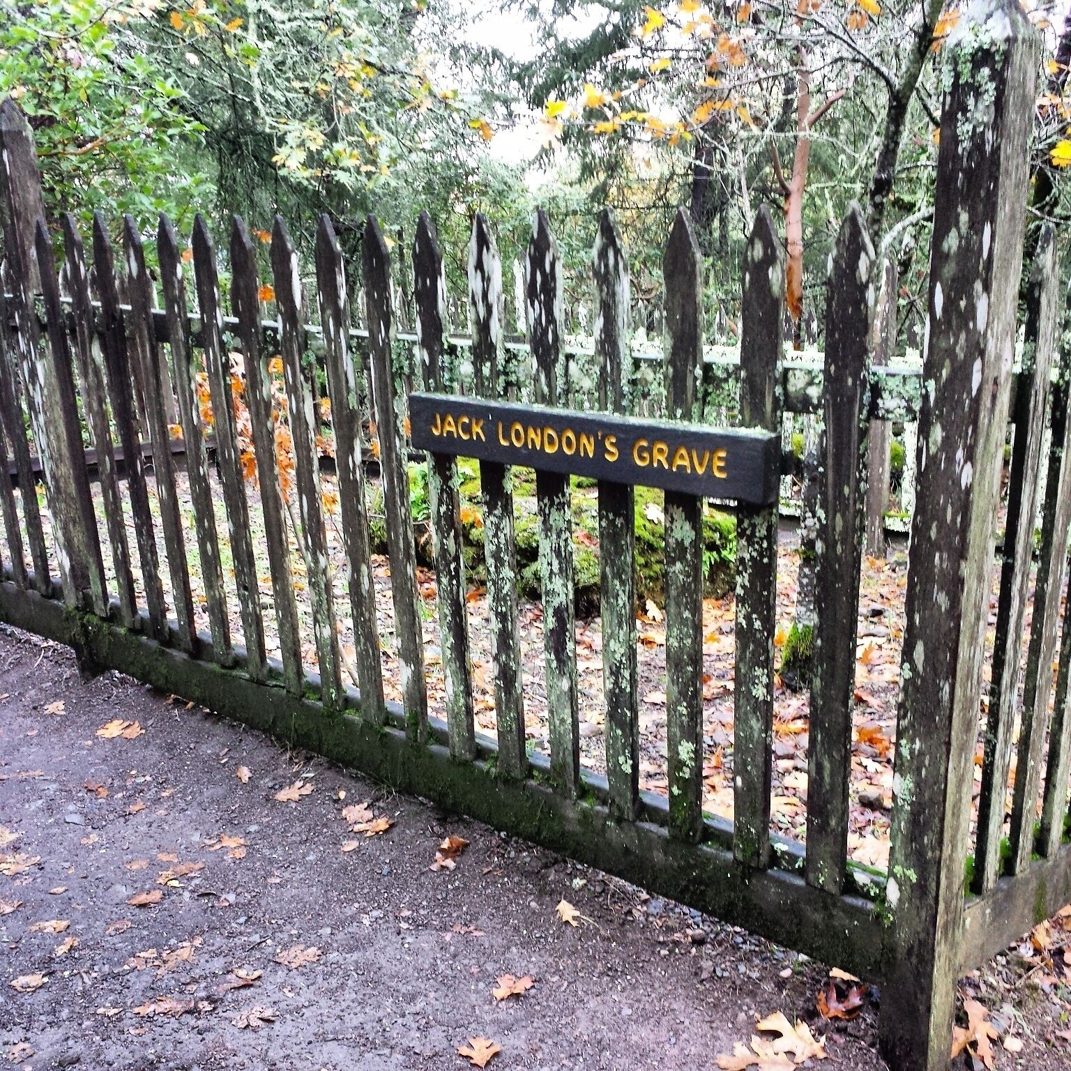 There are 4 places to visit at the park: The mansion, the cottage, the gravesite and the Wolf House. The grave and the Wolf House are small low level hikes but worth it.