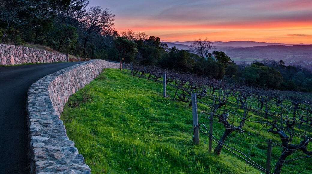 Sunset over Sonoma Valley and Vineyard