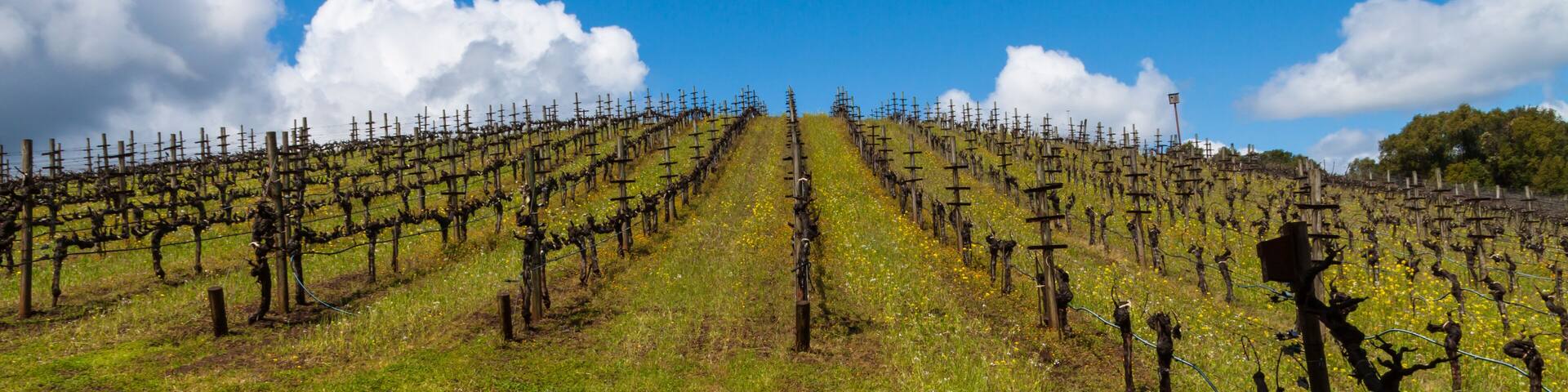 Glen Ellen Hotel Guide