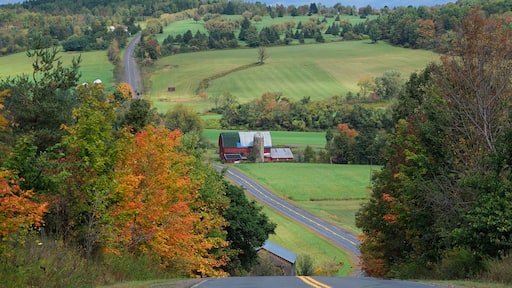 County Road 36 winding trough country landscape, near Portageville, New York, USA