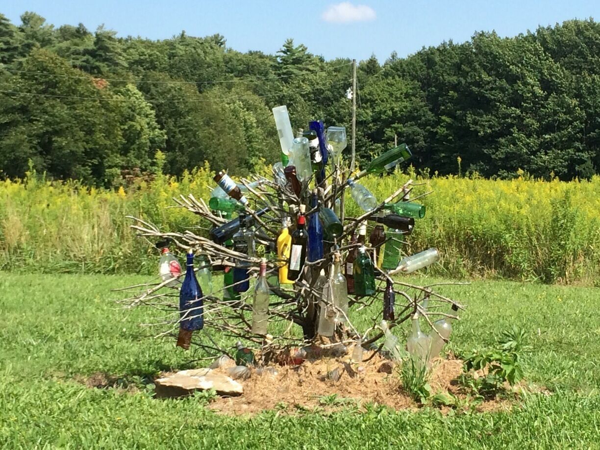 Bottle tree near Letchworth State Park on 19A. 