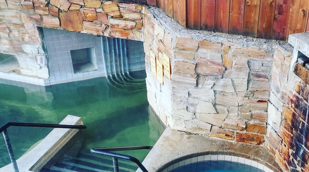 The left is the entrance to the caves and to the right is the uber cold dunk tank.
Ainsworth Hot Springs resort is the second highest rated hot springs in British Columbia. It is also one of the rare hot springs in BC that contain natural lithium in the water.
The hot caves will have you feeling relaxed like a marshmallow.
As there isn't much in the area, there is an on-site restaurant with gourmet and regular good options at very reasonable prices.
The service at the hotel is excellent and the rooms are very clean and bright. Spending the extra money for a deluxe mountain view room is well worth it. Waking up to a sunset or watching the moon rise over the mountains is just amazing.
The hot caves fills itself up with new water 6 times a day while the pool fills up 4 times.
The best time to go is during the off season and on week days since weekends here can get nuts.
The hot springs is open to the public at a rate of $12 per person and opens at 10AM. From 8:30AM to 10AM is for hotel guests only.
If your staying as a guest there is no fee to use the springs as it's included in the cost of your room.